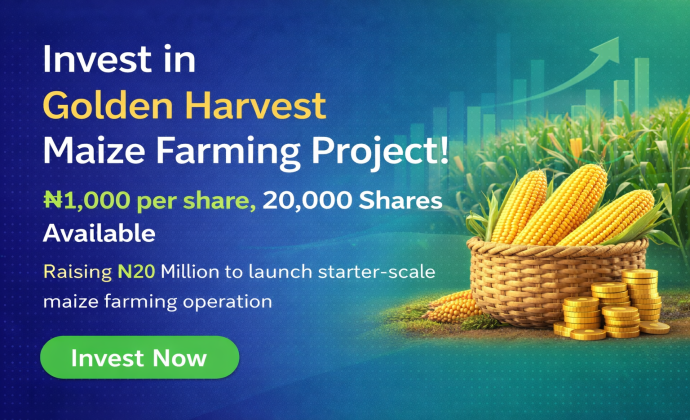 Golden Harvest Commercial Maize